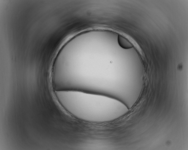 X0000103410911200809120945