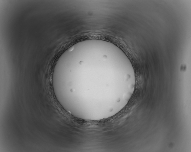 X0000103410913200809120944