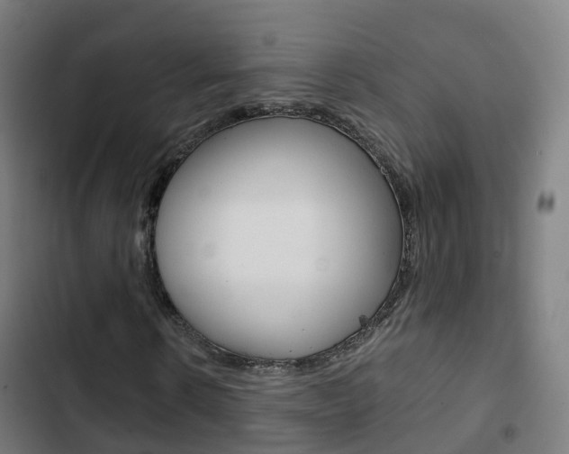 X0000103410914200809120944