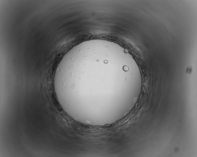 X0000103410917200809120944