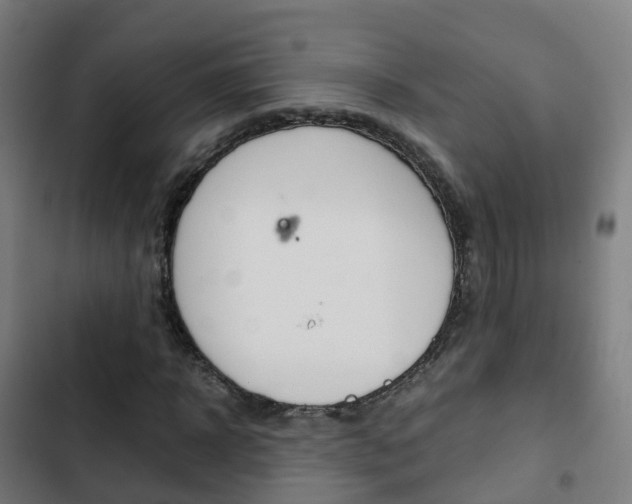 X0000103410918200809120944