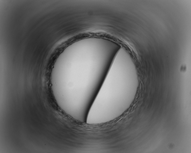 X0000103410920200809120944