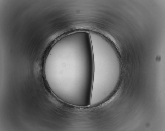 X0000103410922200809120944