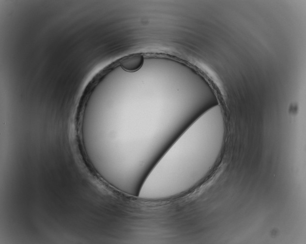 X0000103410928200809120944