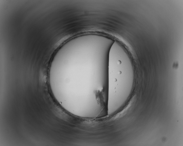 X0000103410929200809120944
