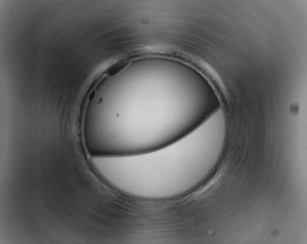 X0000103410930200809120944