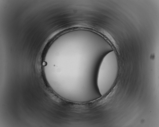 X0000103410931200809120945
