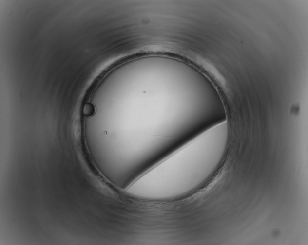 X0000103410934200809120945