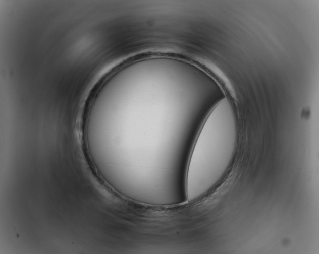 X0000103410935200809120945