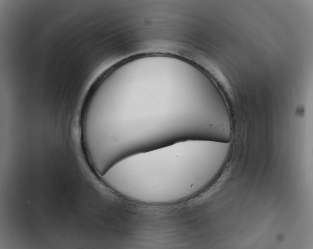 X0000103410936200809120945