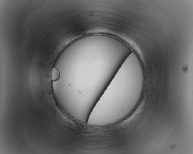 X0000103410937200809120945