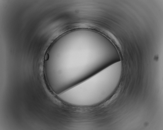 X0000103410938200809120945