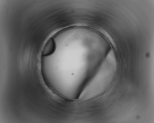 X0000103410939200809120945