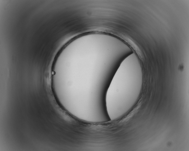 X0000103410940200809120945
