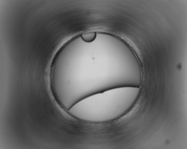 X0000103410941200809120945