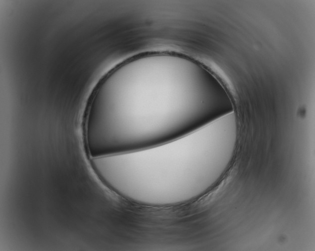 X0000103410943200809120945