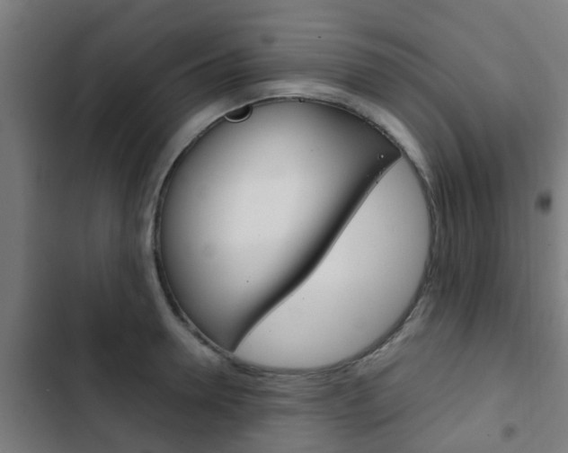 X0000103410946200809120945