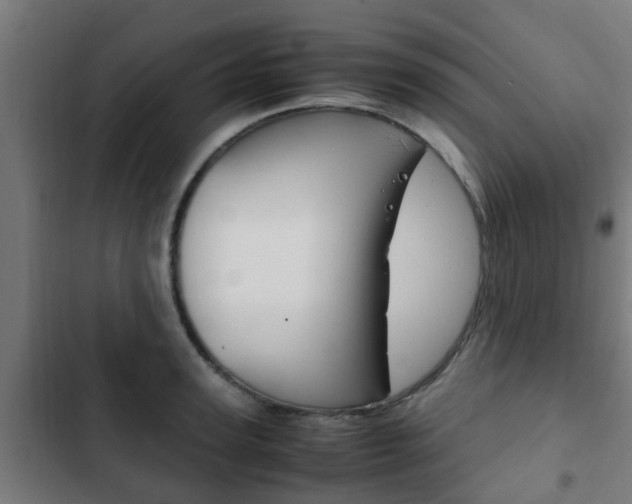X0000103410947200809120945