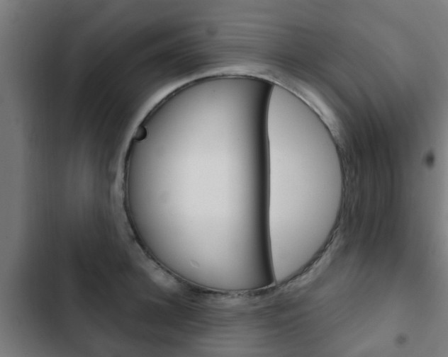 X0000103410948200809120945