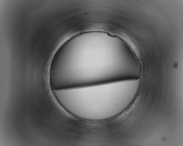 X0000103410949200809120945