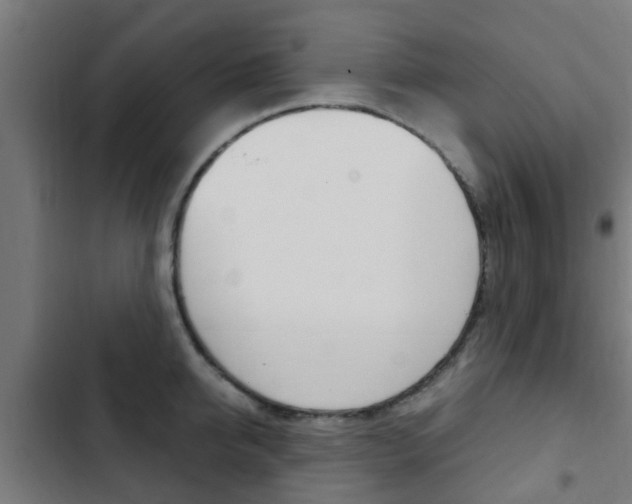 X0000103410950200809120945