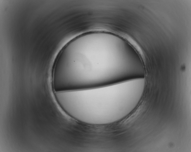 X0000103410951200809120945