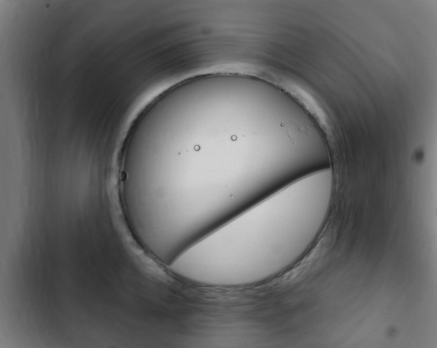 X0000103410952200809120945