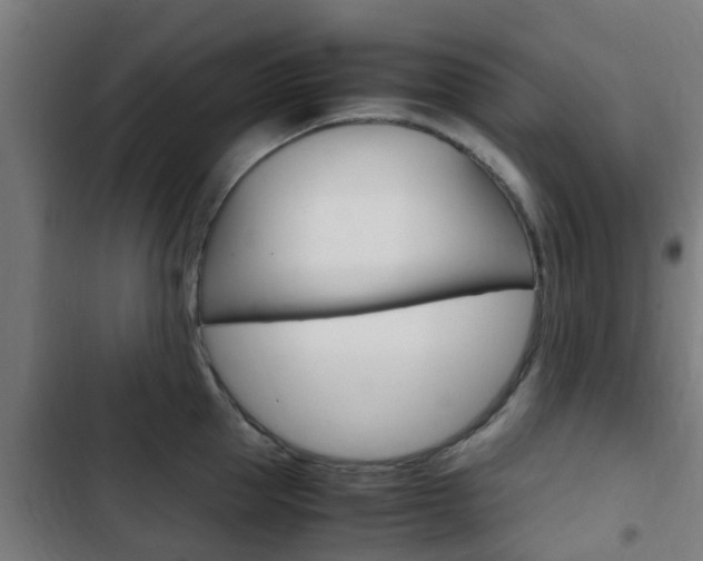 X0000103410953200809120945