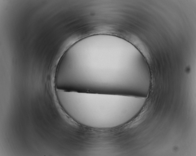 X0000103410954200809120945