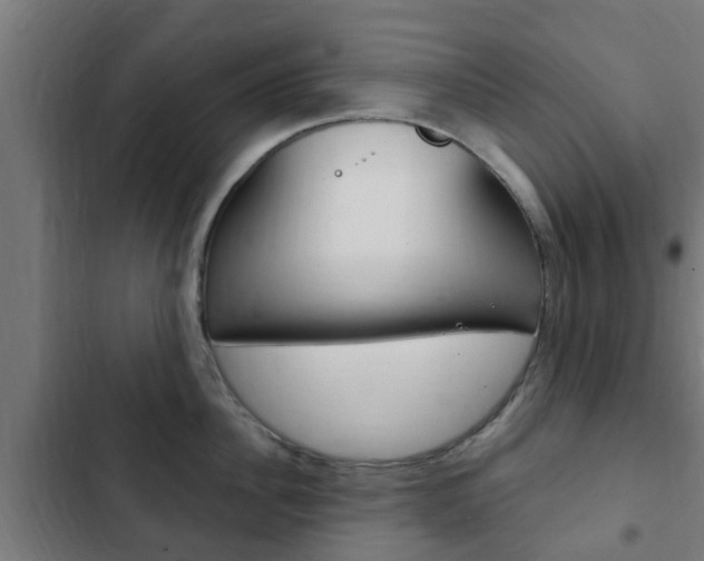 X0000103410956200809120945