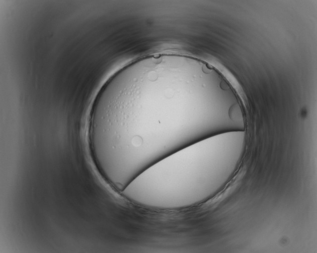 X0000103410957200809120945