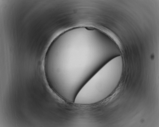 X0000103410958200809120945