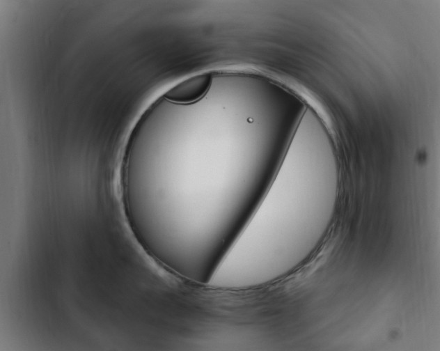 X0000103410959200809120945