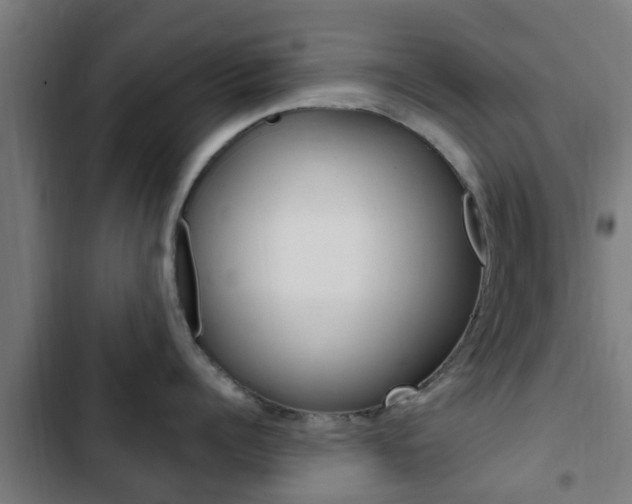 X0000103410960200809120945