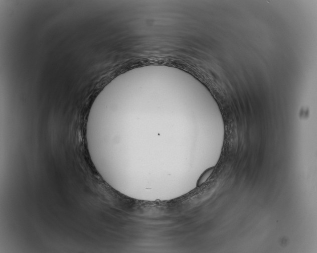 X0000103410962200809120944