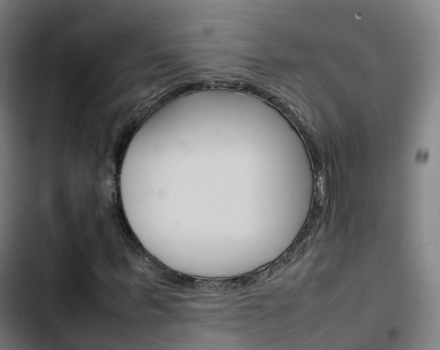X0000103410963200809120944