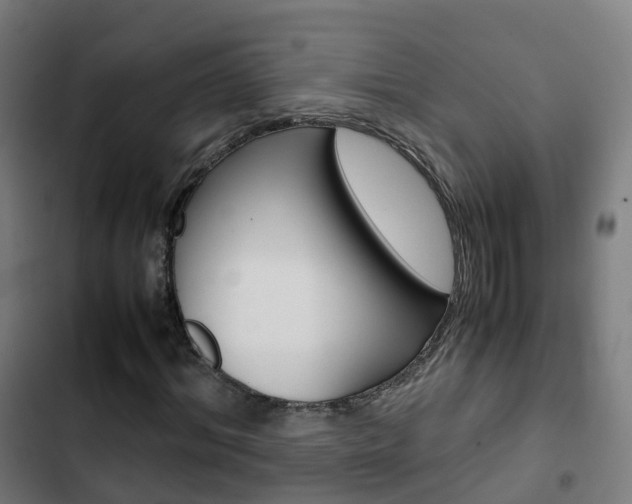 X0000103410964200809120944