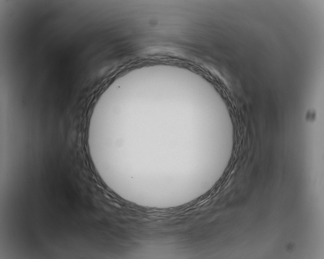 X0000103410965200809120944