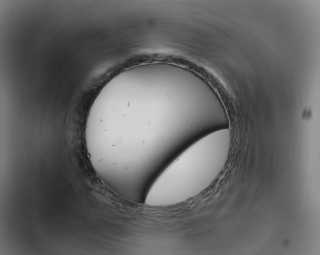 X0000103410967200809120944