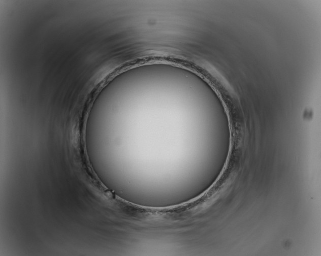 X0000103410969200809120944