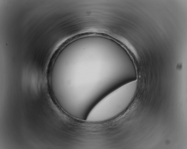 X0000103410972200809120944
