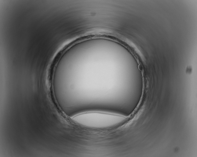 X0000103410973200809120944