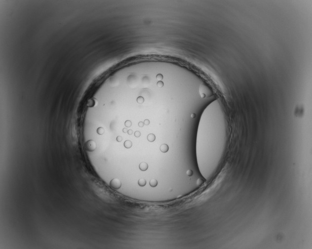 X0000103410974200809120944