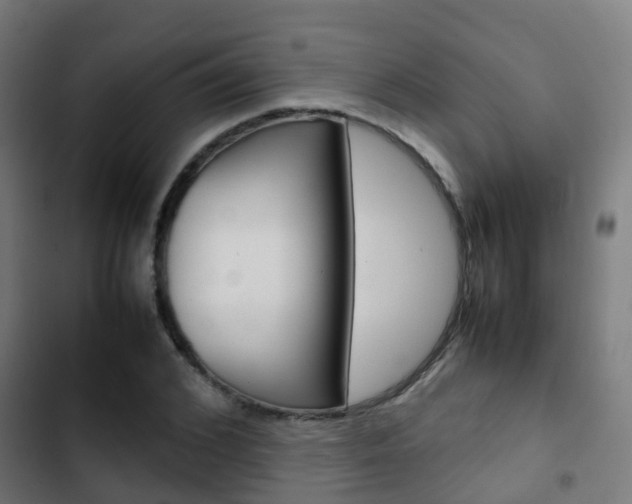 X0000103410976200809120944