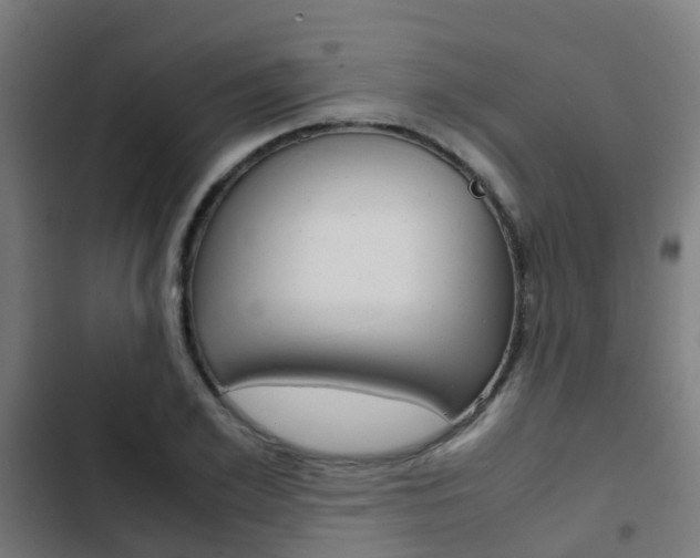 X0000103410981200809120944