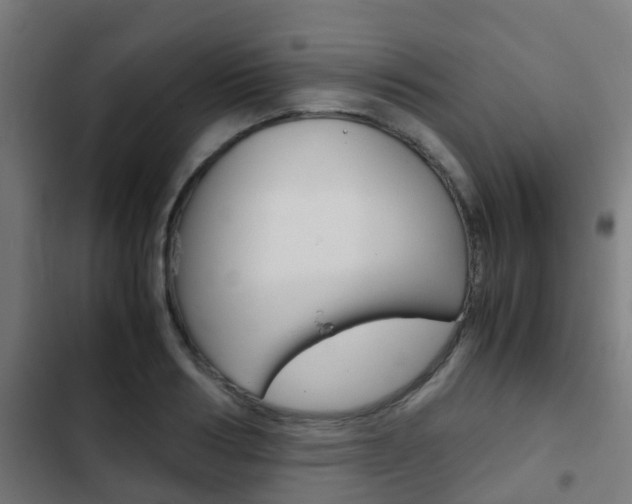 X0000103410986200809120944