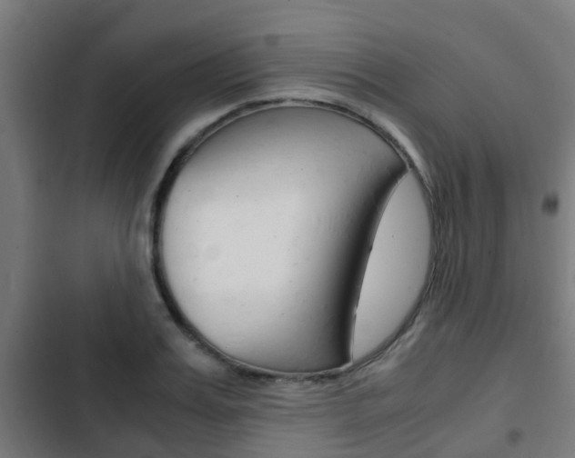 X0000103410987200809120944