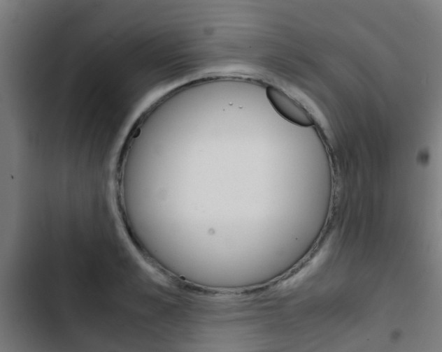 X0000103410989200809120944