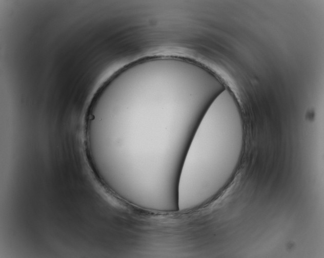 X0000103410990200809120944
