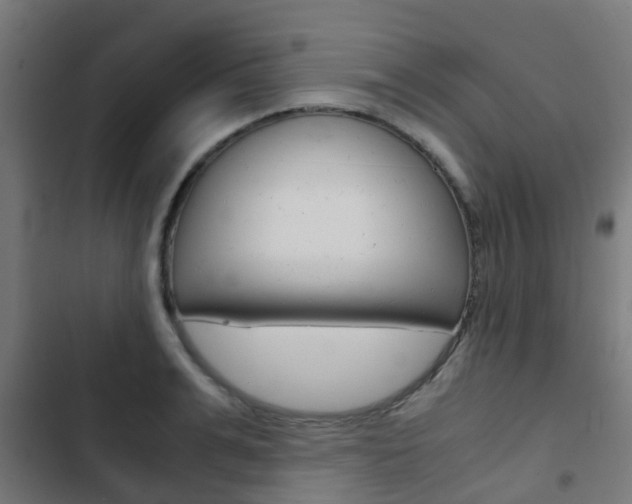 X0000103410991200809120944